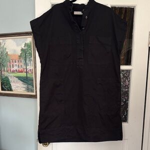 Everlane Work Wear Shirt Dress